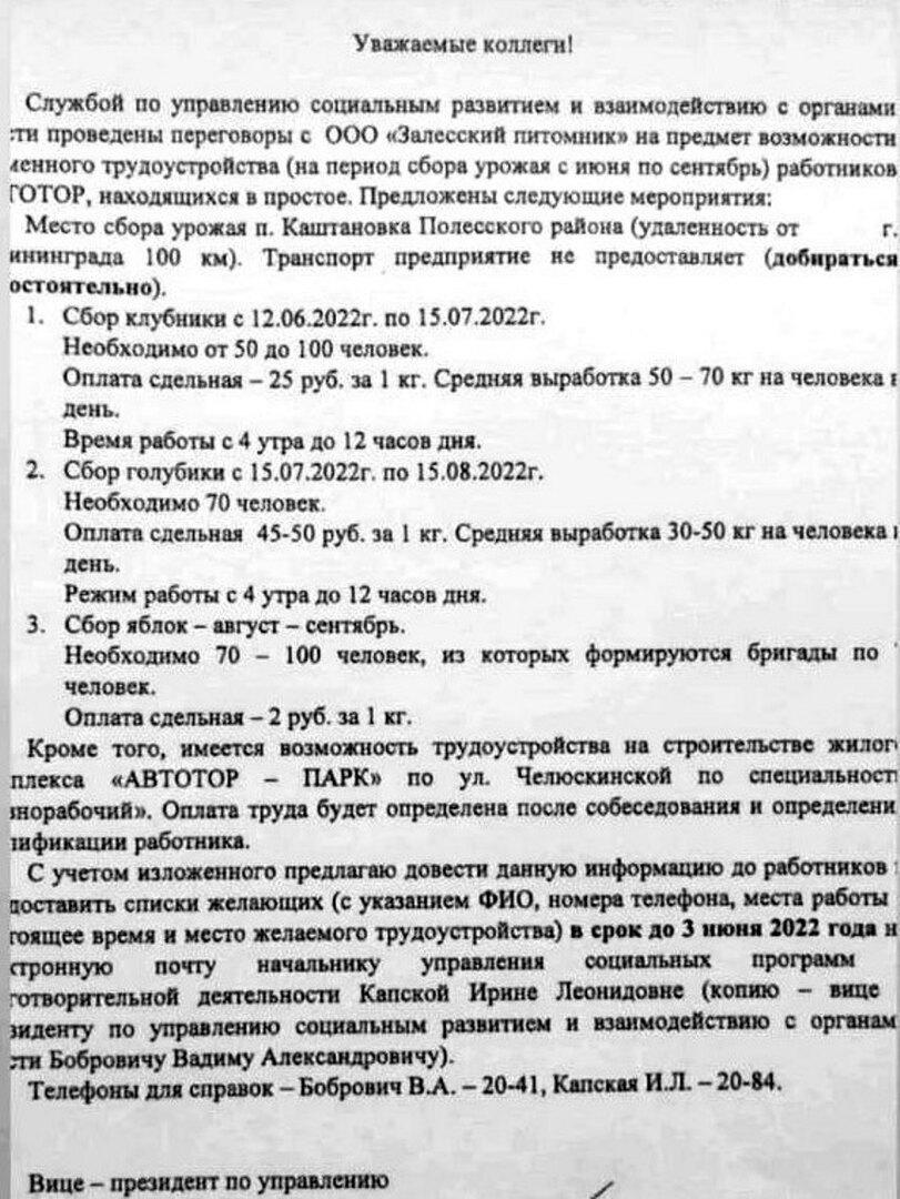 Сотрудники «Автотора» освоят сбор ягод и яблок