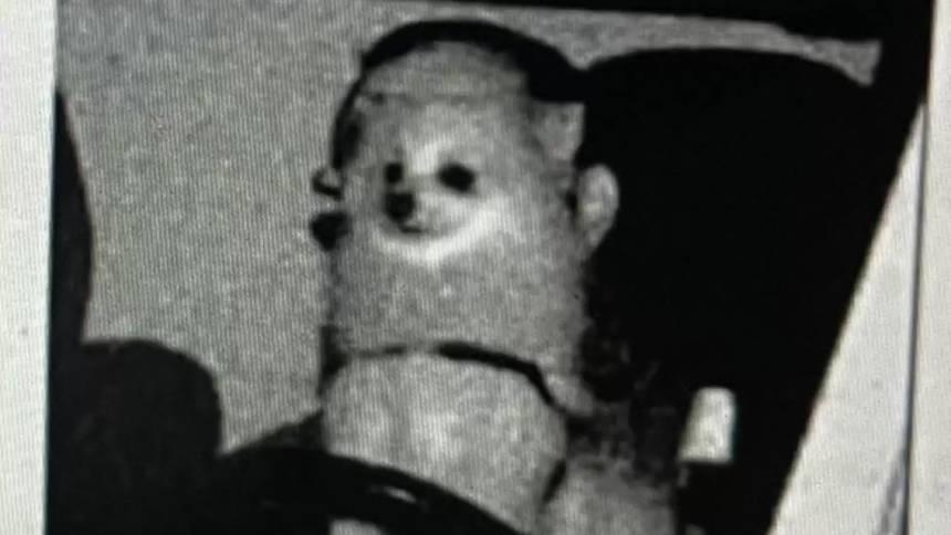 Dodo