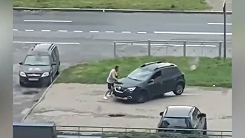 Дикая петербурженка пыталась задавить собачек и гаишника: закончилось это плохо