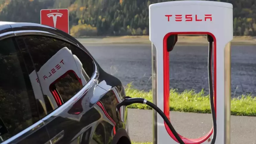 Владельцы автомобилей Tesla объявили голодовку из-за некачественной сборки 