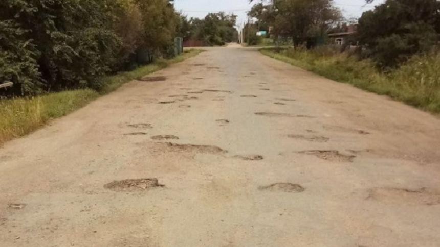 «Следы динозавра» обнаружили приморцы на одной из дорог