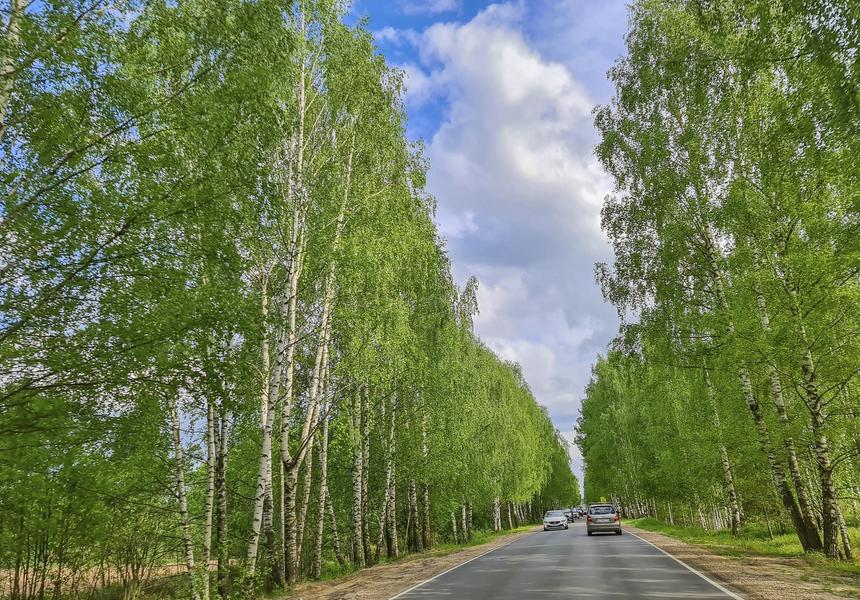 Маршрут выходного дня: Городец