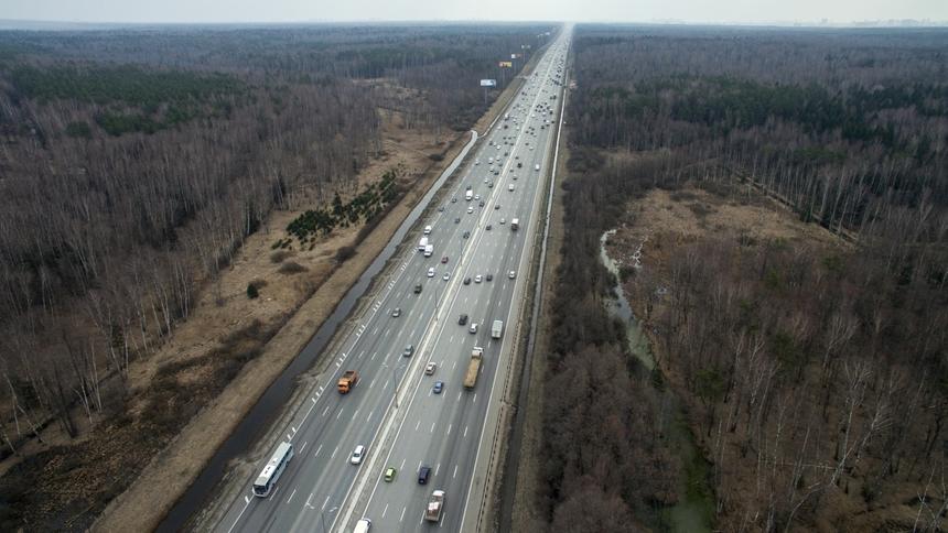Землю под дорогу отберут у лосей