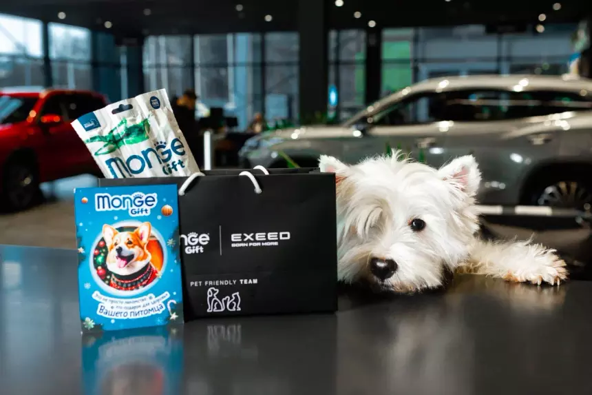 В Москве появились первые pet-friendly автосалоны
