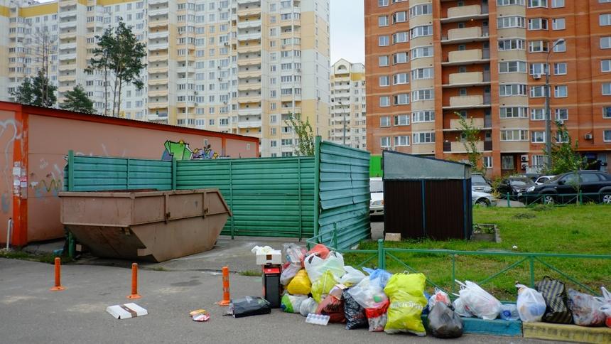 В&nbsp;Подмосковье открыли охоту на&nbsp;машины у&nbsp;мусорных площадок