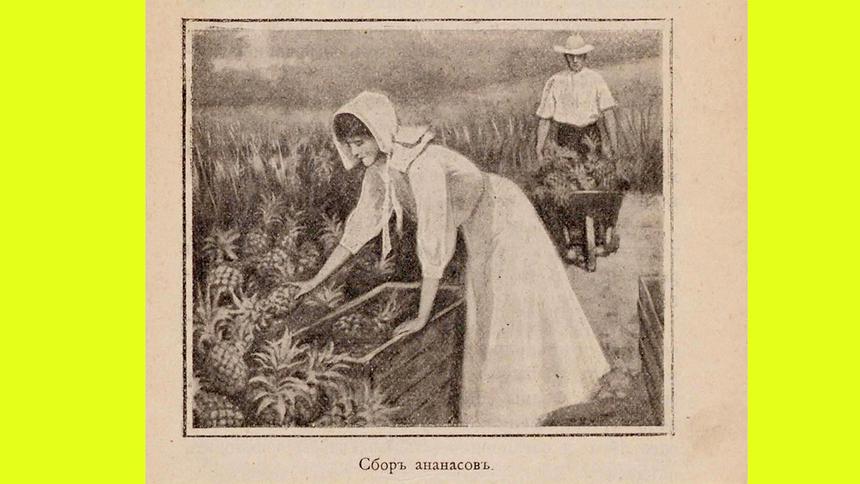 Чем удивила Австралия русских моряков в 1914 году