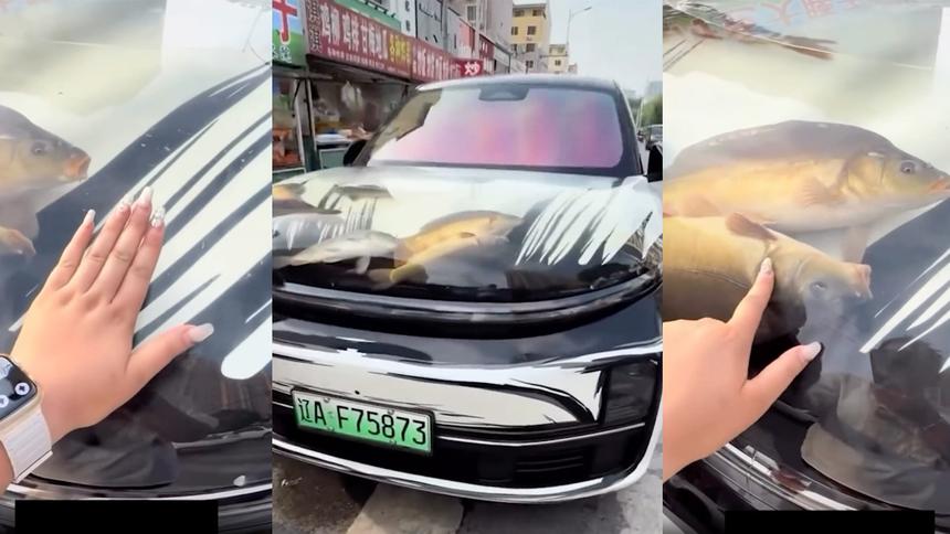 Владелец Li Auto L9 устроил аквариум прямо на капоте
